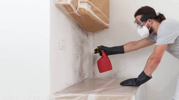 Professional Crawl Space Mold Removal technician working in Wakefield, MI