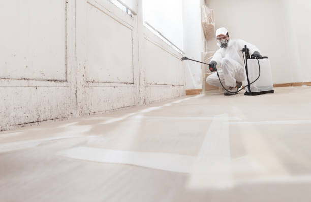 24/7 Emergency Crawl Space Mold Removal experts in Wakefield, MI