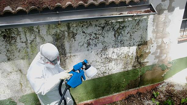 Trusted Mold Testing service in Wakefield, MI - Cheap Mold Removal